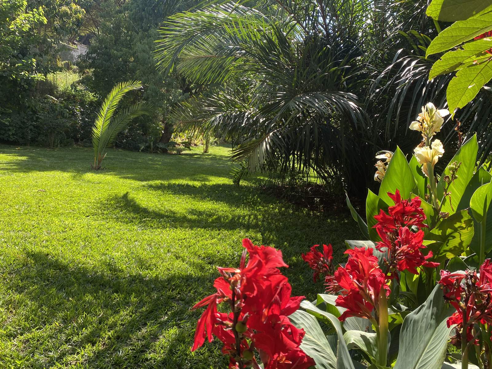 Maarifa Park - Gallery 14